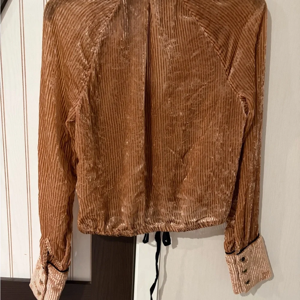 Free People Aspen Nights Velvet Blouse Size Small Button Down Long Sleeves - Picture 8 of 11